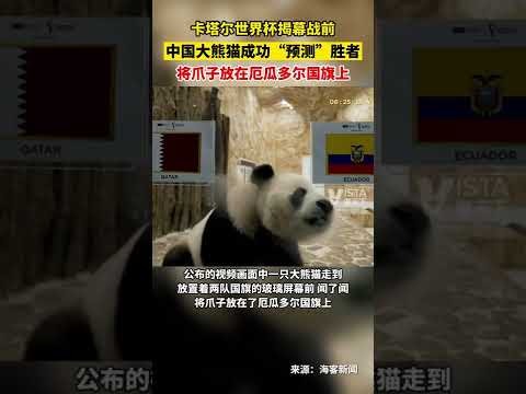 小阿扎尔替,补进两球,多特蒙德,明发彩票官方网站,明发彩票团队,明发彩票,明发彩票体育集团,明发彩票赛事平台,明发彩票直播公司