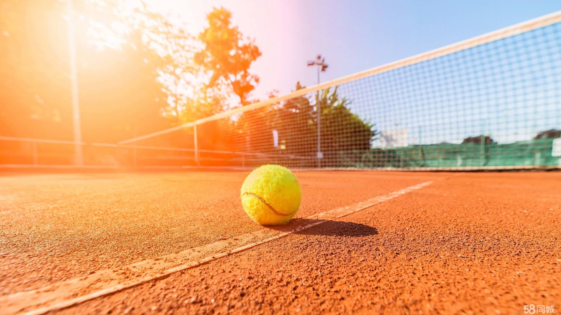 事件反響及 事件反響及