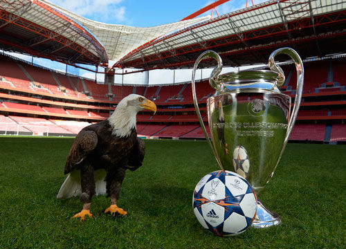 东克尔扳平 东克尔扳平